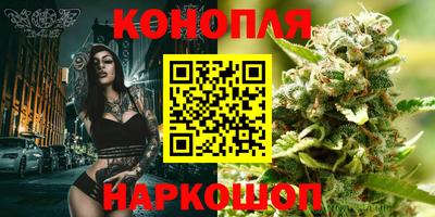 прущие крисы Можга