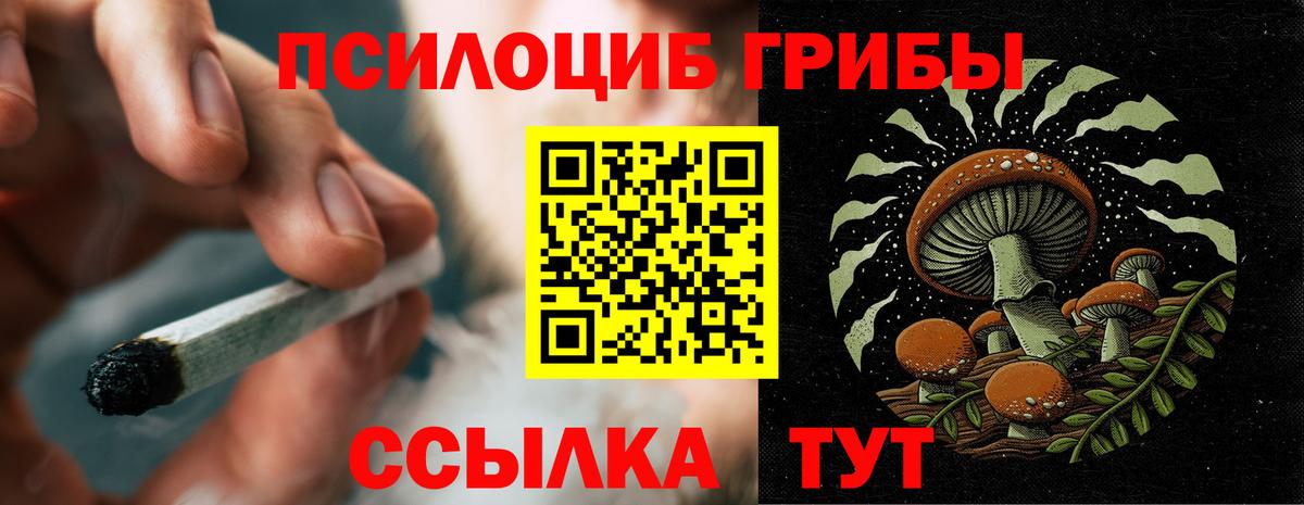 Галлюциногенные грибы ЛСД Черняховск